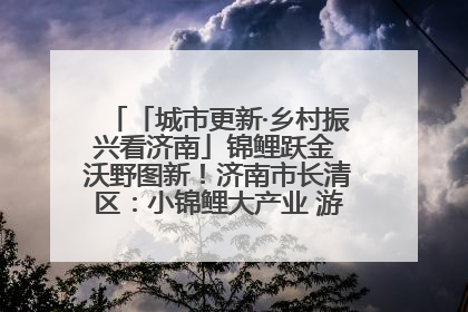 「城市更新·乡村振兴看济南」锦鲤跃金 沃野图新！济南市长清区：小锦鲤大产业 游出农旅新风景