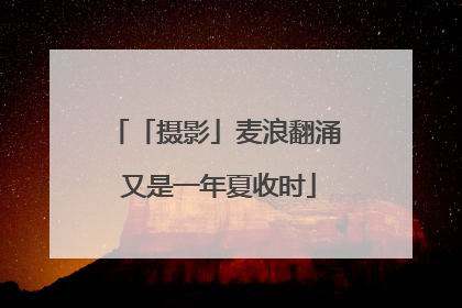 「摄影」麦浪翻涌 又是一年夏收时