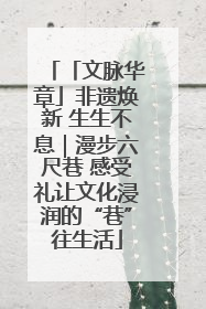 「文脉华章」非遗焕新 生生不息｜漫步六尺巷 感受礼让文化浸润的“巷”往生活