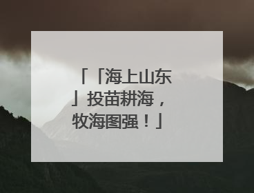 「海上山东」投苗耕海，牧海图强！