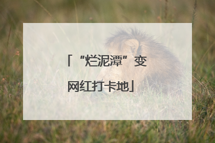 “烂泥潭”变网红打卡地
