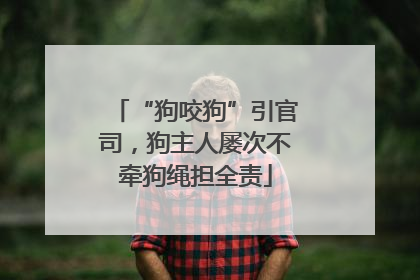 “狗咬狗”引官司，狗主人屡次不牵狗绳担全责