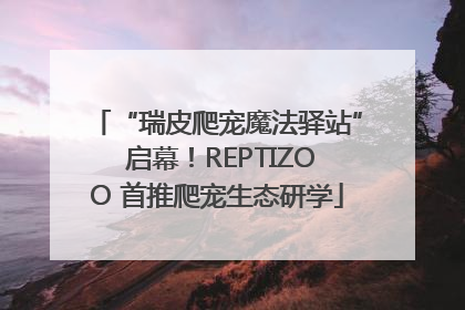 “瑞皮爬宠魔法驿站” 启幕！REPTIZOO 首推爬宠生态研学