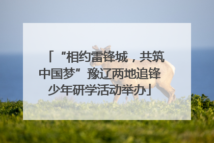 “相约雷锋城，共筑中国梦”豫辽两地追锋少年研学活动举办