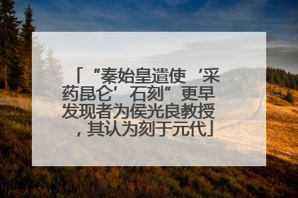 “秦始皇遣使‘采药昆仑’石刻”更早发现者为侯光良教授，其认为刻于元代