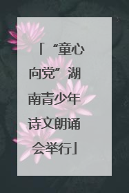 “童心向党”湖南青少年诗文朗诵会举行