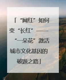 “网红”如何变“长红”——“一朵花”激活城市文化基因的破题之路