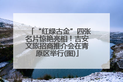 “红绿古金”四张名片惊艳亮相！吉安文旅招商推介会在青原区举行(图)
