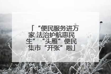 “便民服务进万家 法治护航惠民生”“头雁”便民集市“开张”啦