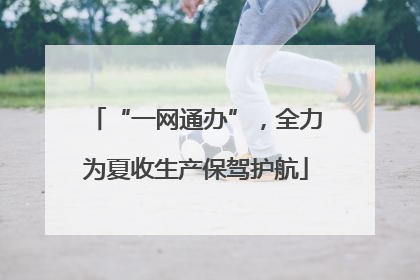 “一网通办”，全力为夏收生产保驾护航