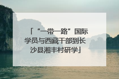 “一带一路”国际学员与西藏干部到长沙县湘丰村研学
