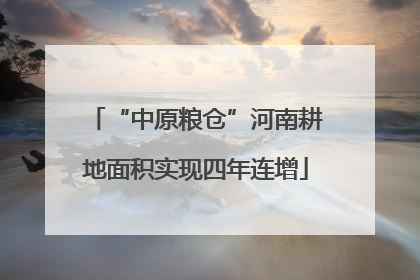 “中原粮仓”河南耕地面积实现四年连增