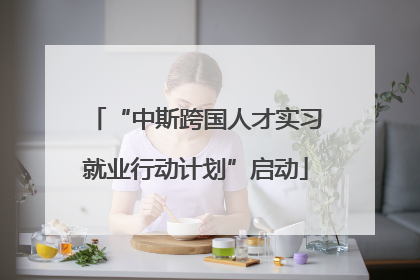 “中斯跨国人才实习就业行动计划”启动