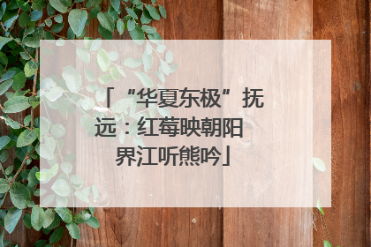 “华夏东极”抚远：红莓映朝阳 界江听熊吟