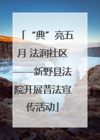 “典”亮五月 法润社区——新野县法院开展普法宣传活动