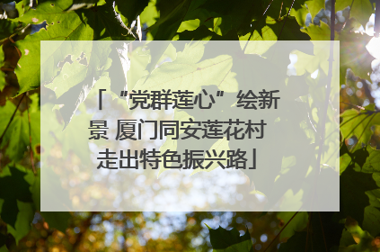 “党群莲心”绘新景 厦门同安莲花村走出特色振兴路
