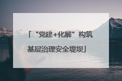 “党建+化解”构筑基层治理安全堤坝