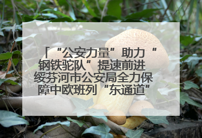 “公安力量”助力“钢铁驼队”提速前进 绥芬河市公安局全力保障中欧班列“东通道”绥芬河隧道贯通