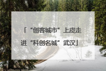 “创客城市”上虞走进“科创名城”武汉
