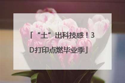 “土”出科技感！3D打印点燃毕业季