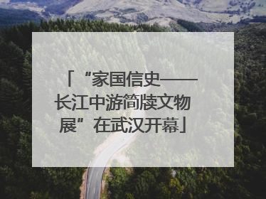 “家国信史——长江中游简牍文物展”在武汉开幕