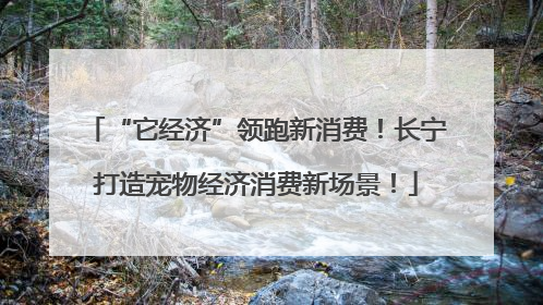 “它经济”领跑新消费！长宁打造宠物经济消费新场景！