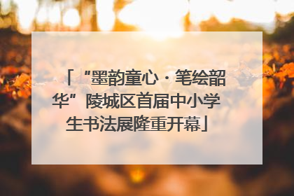 “墨韵童心・笔绘韶华”陵城区首届中小学生书法展隆重开幕