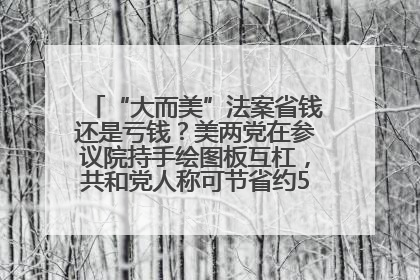 “大而美”法案省钱还是亏钱？美两党在参议院持手绘图板互杠，共和党人称可节省约5000亿美元，民主党人称将增加4.45万亿美元赤字