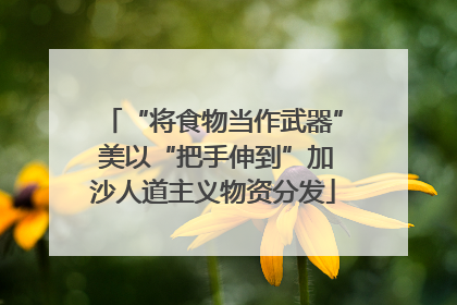 “将食物当作武器” 美以“把手伸到”加沙人道主义物资分发