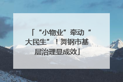 “小物业”牵动“大民生”！舞钢市基层治理显成效