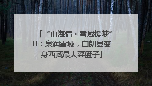 “山海情・雪域援梦”⑪：泉润雪域，白朗县变身西藏最大菜篮子
