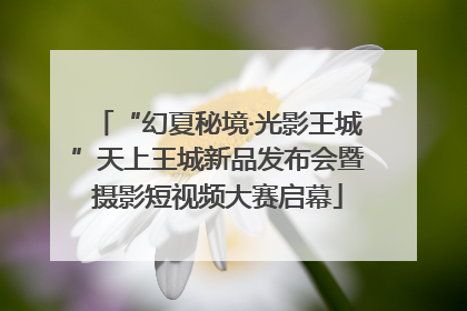 “幻夏秘境·光影王城”天上王城新品发布会暨摄影短视频大赛启幕