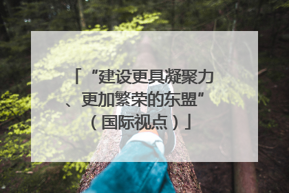 “建设更具凝聚力、更加繁荣的东盟”（国际视点）