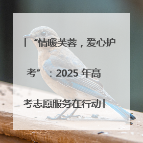 “情暖芙蓉，爱心护考”：2025 年高考志愿服务在行动