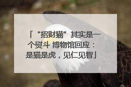 “招财猫”其实是一个熨斗 博物馆回应：是猫是虎，见仁见智