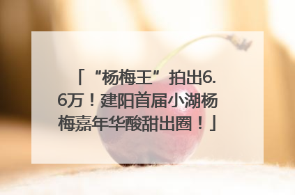 “杨梅王”拍出6.6万！建阳首届小湖杨梅嘉年华酸甜出圈！