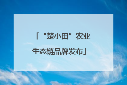 “楚小田”农业生态链品牌发布