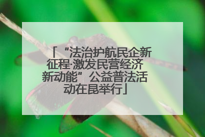 “法治护航民企新征程·激发民营经济新动能”公益普法活动在昆举行