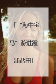 “海中宝马”游进霞浦盐田