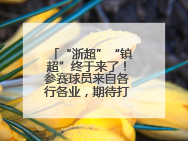 “浙超”“镇超”终于来了！参赛球员来自各行各业，期待打好每一场比赛