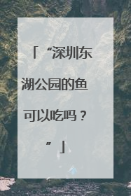 “深圳东湖公园的鱼可以吃吗？”