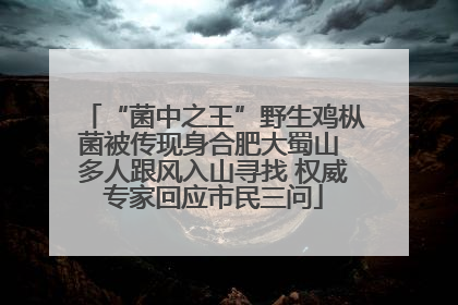 “菌中之王”野生鸡枞菌被传现身合肥大蜀山 多人跟风入山寻找 权威专家回应市民三问