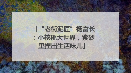 “老街泥匠”杨富长：小核桃大世界，紫砂里捏出生活味儿