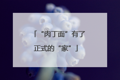 “肉丁面”有了正式的“家”