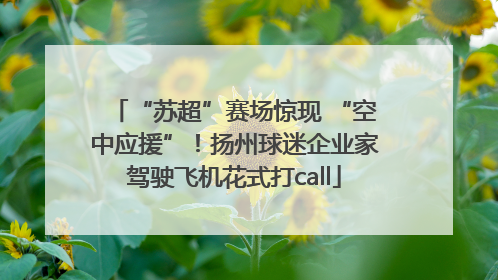 “苏超”赛场惊现 “空中应援”！扬州球迷企业家驾驶飞机花式打call