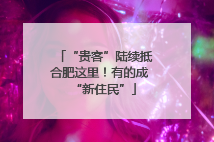 “贵客”陆续抵合肥这里！有的成“新住民”