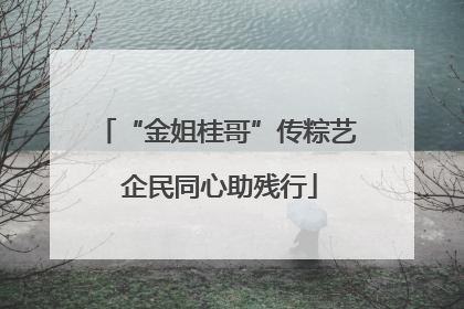 “金姐桂哥”传粽艺 企民同心助残行
