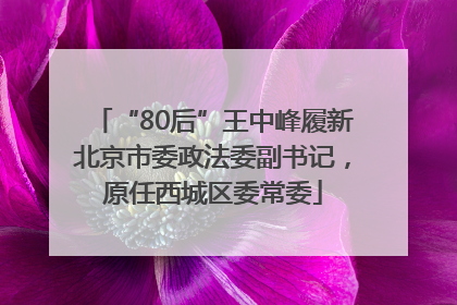 “80后”王中峰履新北京市委政法委副书记，原任西城区委常委