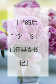 “85后”李一飞，已任县委书记