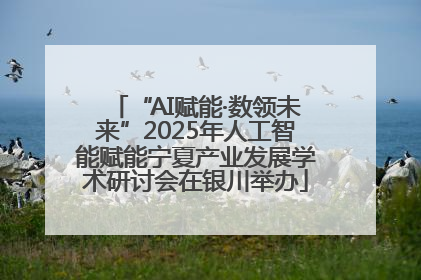 “AI赋能·数领未来”2025年人工智能赋能宁夏产业发展学术研讨会在银川举办